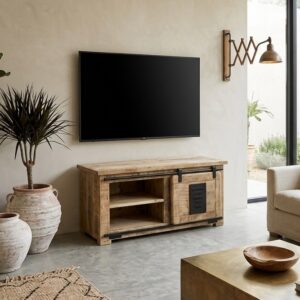 Mobile Tv Jupiter 100
