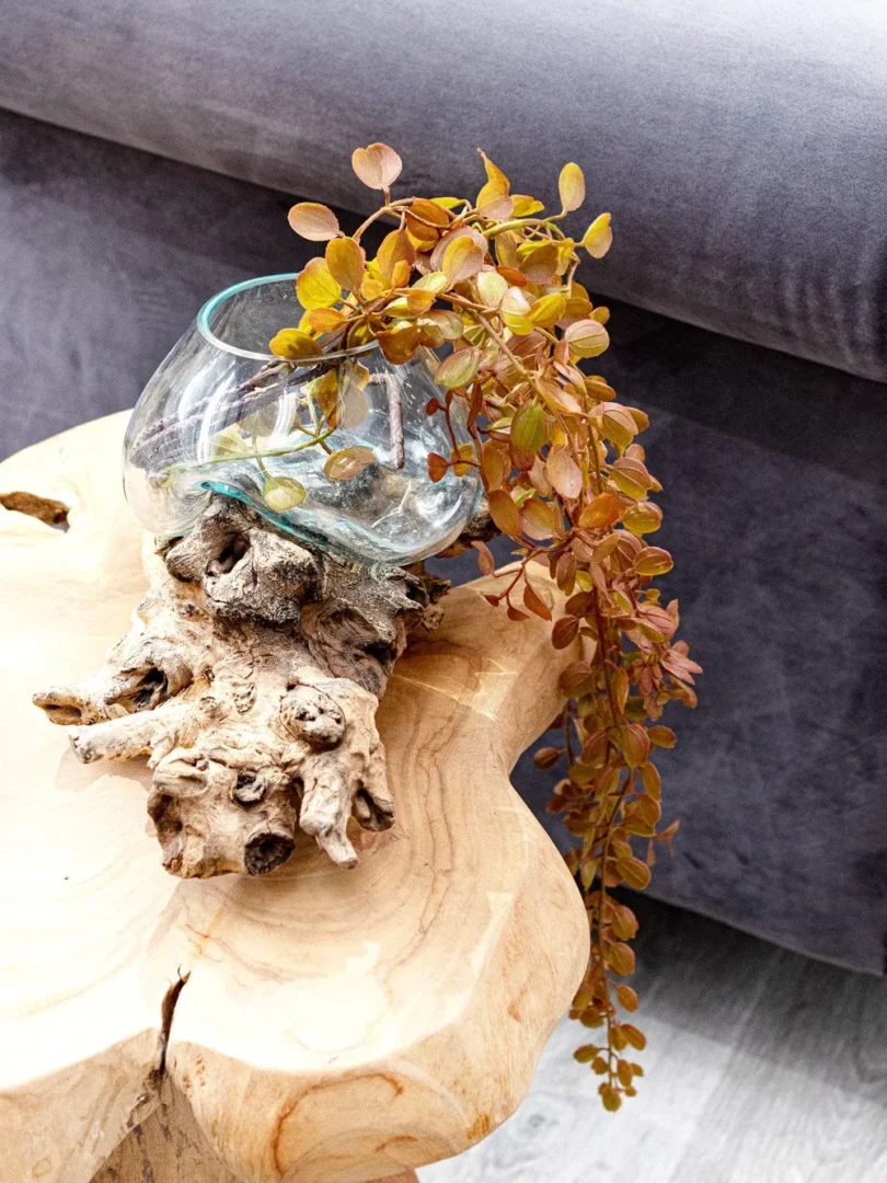 Radice Teak Ciotola Vetro - immagine 11