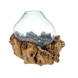 Radice Teak Ciotola Vetro