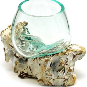 Radice Teak Decapata Ciotola Vetro