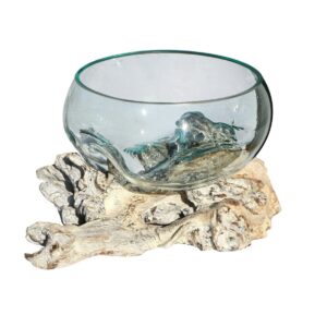 Radice Teak Decapata Ciotola Vetro