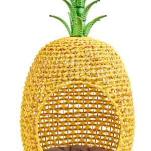 Cuccia Per Animali Ananas