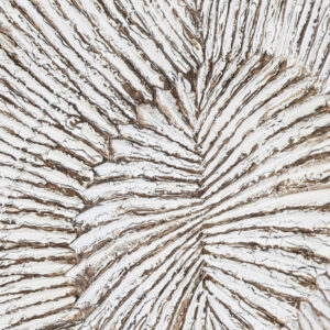 Testata Intagliata Decapata 180